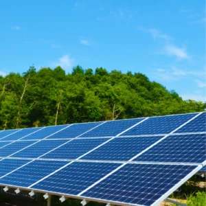 ホームページをリニューアルしました。